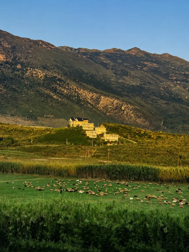 Mountains above Radhimë at dawn, sheep grazing on the meadow below